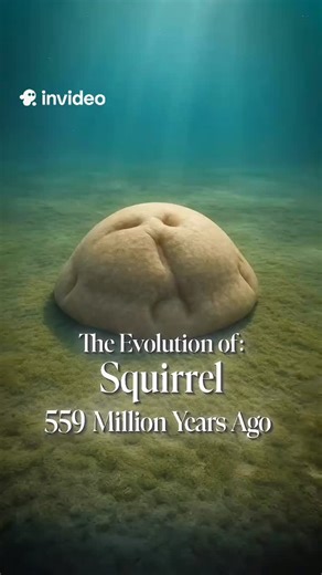 Evolution ai on Instagram: "Evolution of Squirrel #squirrel #biology #nature #History #evolution"