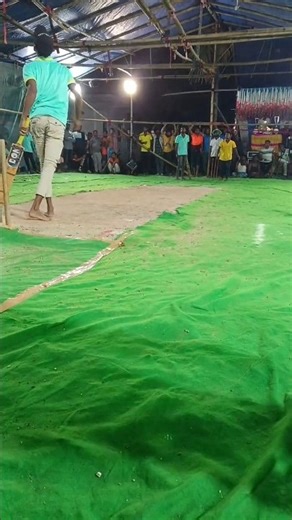 The 365-Day Hand Cricket Challenge