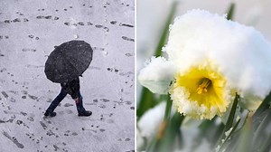 Wetter-Vorhersage 2022: Überraschung – Frühling kommt schneller als gedacht