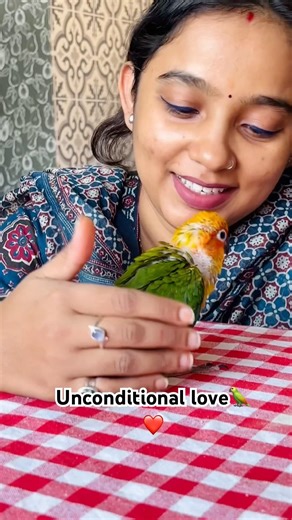 Unconditional love❤️| Lovely sun conure baby🦜❤️ #birds #sunconure #conure #pets #conures #parakeet