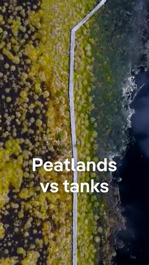 Re-wetting Bogs to Combat Climate Change and Invasions