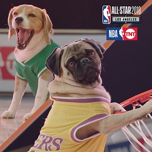 These dogs got game. Do you? Watch 2018 NBA All-Star on TNT Feb. 16–18. | BuzzFeed Video