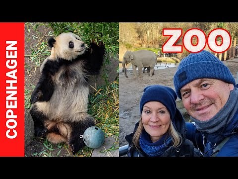 Copenhagen Zoo Tour with Maxi and Maro known from the CopenhagenInFocus Instagram Profile!