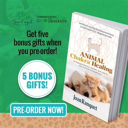 Want to truly understand your dog’s or cat’s needs, behaviors, and energy? Pre-order Animal Chakra Healing, the newest book from world-renowned animal communicator Joan Ranquet! Discover how to balance and harmonize your pet’s chakras through real-life case studies, chakra charts, and easy-to-follow checklists. Pre-order before the November 18 release and unlock 5 amazing bonus gifts, including 4 exclusive classes with Joan and a digital sneak peek at Chapter One! Pre-order your copy now! https: