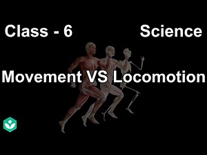 Movement versus Locomotion | Movement in Animals | Class 6 | Science | Telangana| Khan Academy