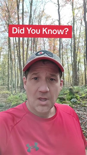 What is a public adjuster?