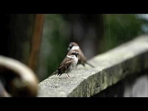 Test: LUMIX DMC-GH1 - Pt.1