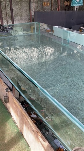 Aquarium Tipis: Tips for Enthusiasts