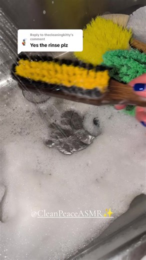 Ultimate ASMR Cleaning Experience: Brush and Rinse