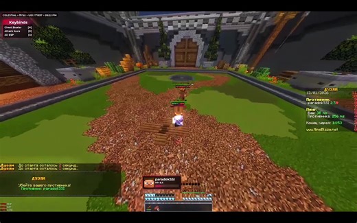 Exploring Celestial Anarchy in Minecraft Gameplay