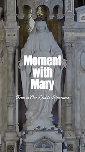 312K views · 19K reactions | “The surrender that is asked of us includes complete and absolute trust; it must be like Our Lady’s surrender, without condition and without reservation." - Caryll Houselander  Bring your intentions to Our Blessed Mother: miraculousmedal.org. #MomentWithMary #MiraculousMedal #Pray #Catholic #Rosary #Surrender | The Basilica Shrine of Our Lady of the Miraculous Medal | Facebook