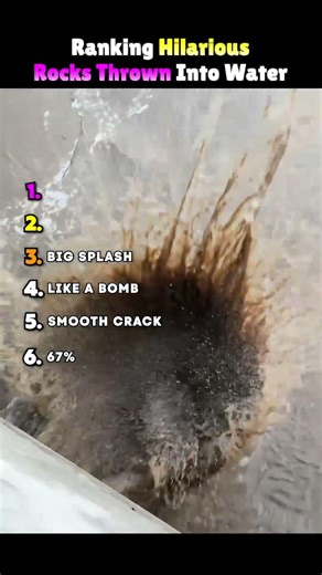 Ranking Hilarious Rocks Thrown Into Water