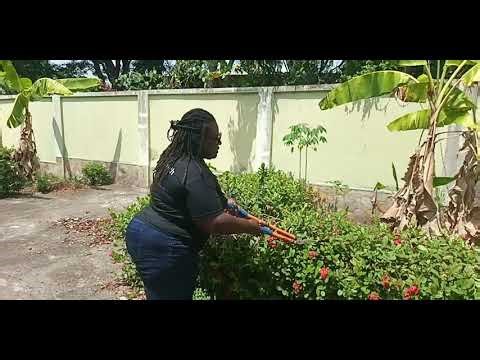 Stop Snakes & Pests! Hedge Trimming & Lawn Care Tips