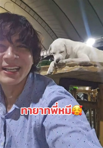 ทายาทพี่หมี 🐶🥰🩲🐒🆑 #แน็กชาลี #charlie #แน็กแฟนฉัน #charliepotjes #เทรนด์วันนี้
