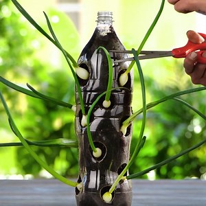 1.7M views · 12K reactions | Smart & creative outdoor ideas for you to try this summer! ☀️ | 5-Minute Crafts | Facebook