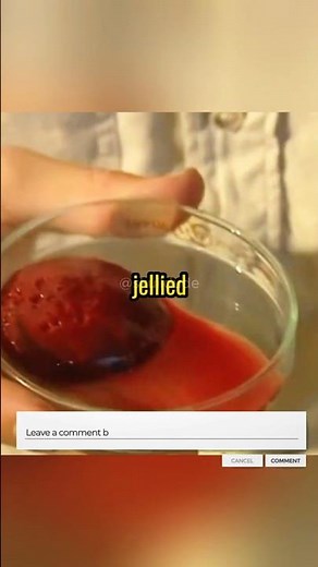This Scientist Tested Viper Venom on Human Blood