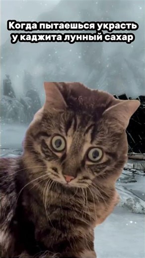 Когда в Skyrim пытаешься украсть у каджита лунный сахар