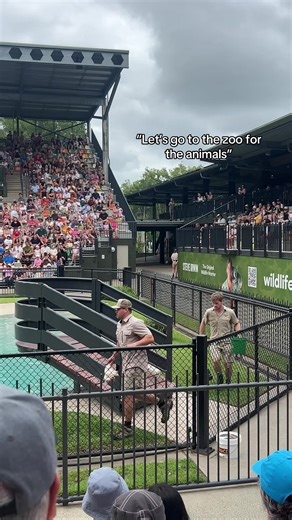 Explore the Amazing Animals at Australia's Zoos
