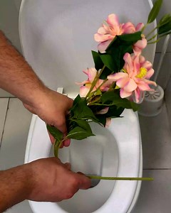 488K views · 1.1K reactions | Toilet Paper Holder  | Genius Inventions | Facebook