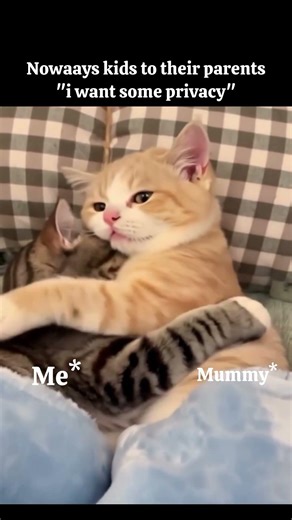 mummy ke pass jldi soti hu🧿#trending#shorts#youtubeshorts#viral#relatable#reels #funny#cat#anime#maa