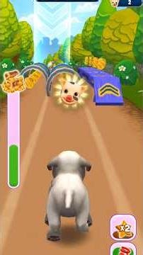 Cute Pet Run Animal Game 🐶