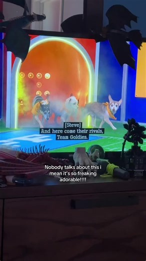 Puppy Bowl 2026: The Cutest Game You Can't Miss!