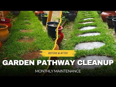 Tidy Up Your Walkway! Lawn Mowing & Edging a Messy Flagstone Path