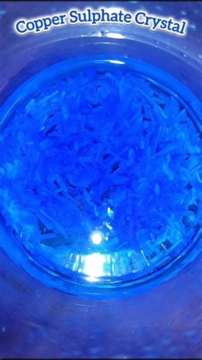 𝘾𝙤𝙥𝙥𝙚𝙧 𝙎𝙪𝙡𝙥𝙝𝙖𝙩𝙚 𝘾𝙧𝙮𝙨𝙩𝙖𝙡💙#shorts #science #chemistry #explore #experiment #art #school #creative #lab