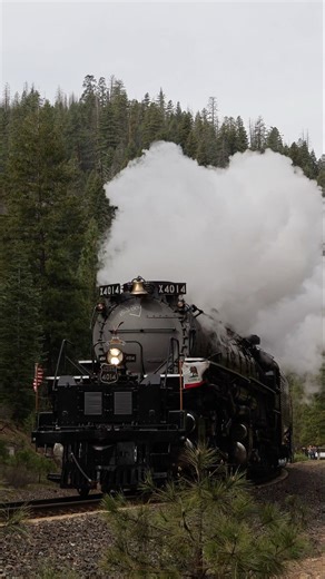 Big Boy 4014 making its way through Williams Loop #steamtrain #shorts