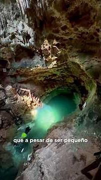 DISCOVER THE CENOTES OF HOMÚN 🍃💧 COMPLETE GUIDE