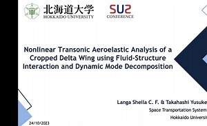Transonic Aeroelastic Analysis of a Delta Wing, FSI and Dynamic Mode Decomp