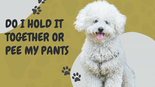 Do I Hold It Together or Pee My Pants