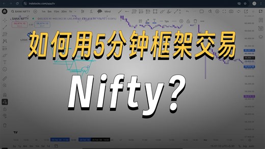 TradngHub丨(中配) 银行 NIFTY 指数每一笔交易实战（发布于印度语频道）