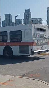 A busy afternoon at Mississauga City Centre #canada #mississauga #miway #transit #busspotting