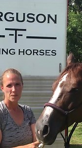 8.1K views | HempMy Pet and Tarleton University, announced the positive results of their Equine Study focusing on the stress of transportation. | HempMy Pet | Facebook