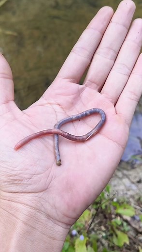 1.4M views · 7.5K reactions | Great Tips For Fishing | Kawan mancing | Facebook