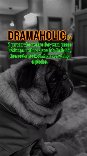 Update your vocabulary #6 #pug #puglife #vocabulary #wordoftheday #drama #fblifestyle #pet #dog #ig #fbreels | Jacob ThePug Canada