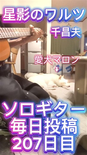 星影のワルツ 千昌夫 ソロギター毎日投稿207日目