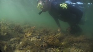 20 reactions | Marine Officer, Ellie Parker, recalls her favourite...