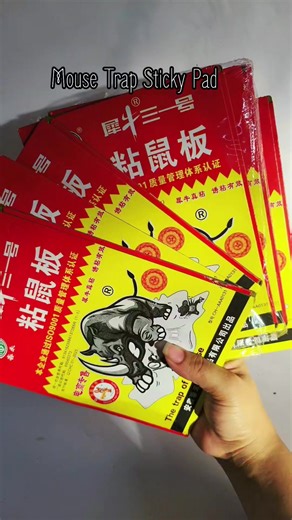 Effective Mouse Trap Sticky Pads for Home Use