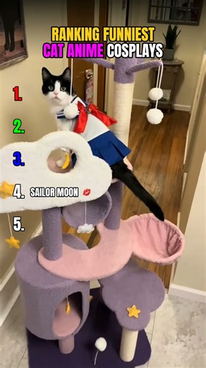 Ranking Top 5 Funniest Cat Anime Cosplays 😹🎌