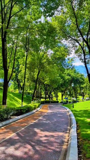 230K views · 828 shares | Beautiful View ...❤️ . . #videography #photography #Love #trending #Umair_Riaz_Goraya #Chand_Captures #Chand_Goraya #travel_Video #road_view #nature #sunset #beautiful #view #foryou #foryoupage #Umair #Umair_Riaz #Chand #Goraya #ChandGoraya #Chand_Photography #Chandphotography #naturephotography #viral #villagelife #roadview #Explore #URG #URG_PhotogGoray | Umair Riaz Goraya | Facebook