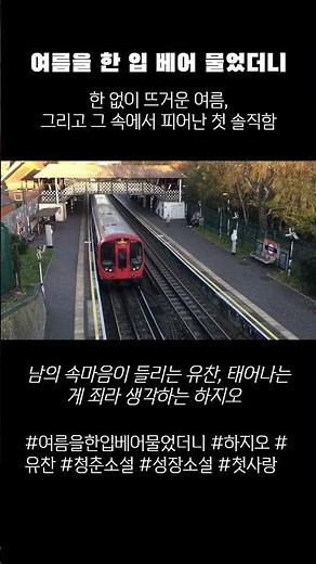 여름을한입베어물었더니, 한없이 뜨거운 여름, 그리고 그 속에서 피어난 첫 솔직함