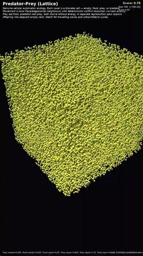 Predator-Prey (Lattice) — 3D Cellular Automata #Shorts