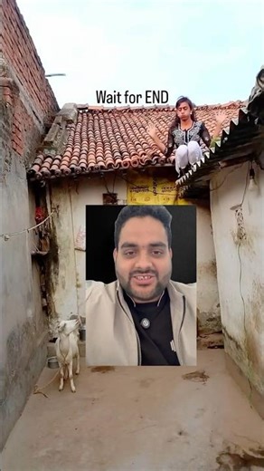 The Science of Funny Memes #shorts #memes #comedy #funny