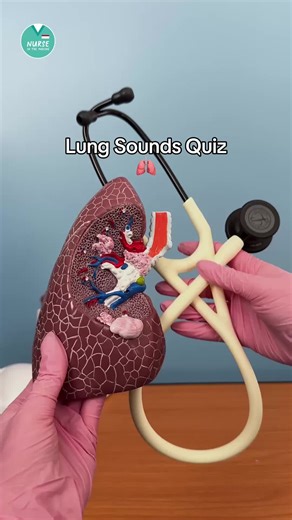 Mastering Lung Sounds: A Nursing Student's Quiz