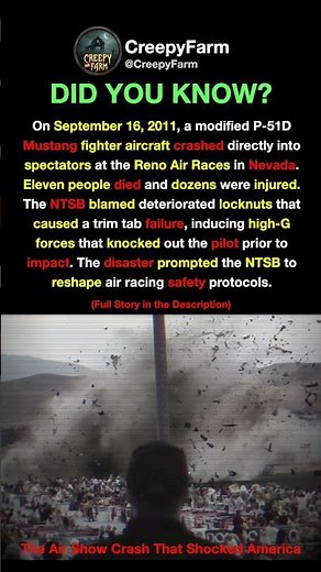 The Air Show Crash That Shocked America