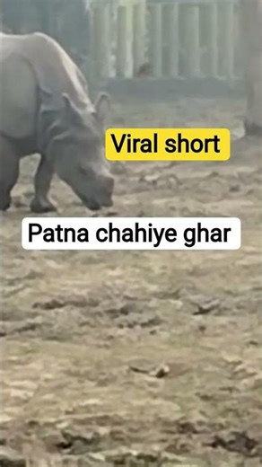 patna chiriyaghar Ganda#most