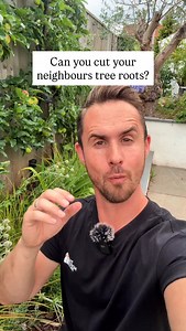 7.4K views · 431 reactions |  Can I remove neighbour’s tree roots from my garden? #gardening | The Michael Griffiths | Facebook