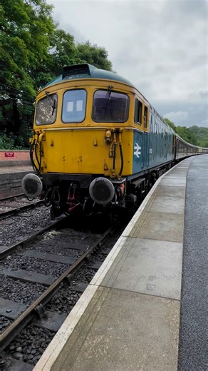 239 reactions · 10 comments | The sound of a #class33 locomotive idling. Built in Birmingham in the early 1960s. #33102 #Sophie at Froghall station. #uktrainspotting #trains #diesellocomotive #britishrailways #railway #railways #trainspotting #railroad #heritagerailway | Adrian Watson | Facebook